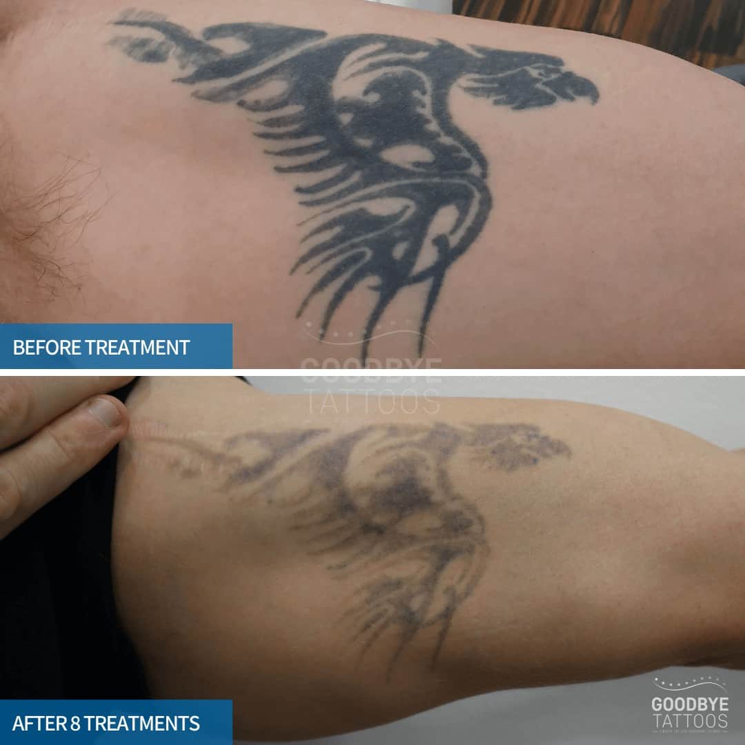 Eagle tattoo fading