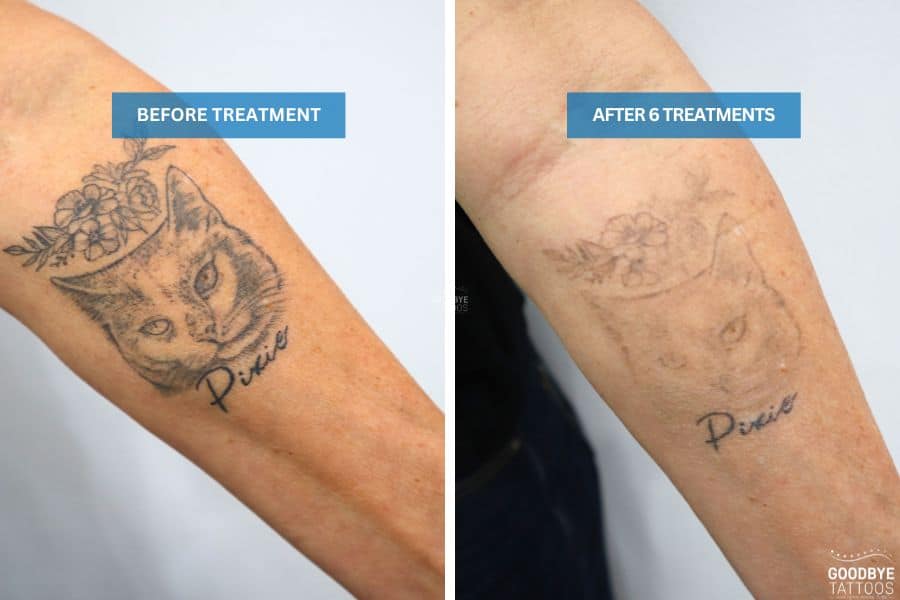 Tattoo fading on black cat tattoo after treatment